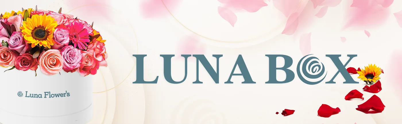 slider-luna_resultado