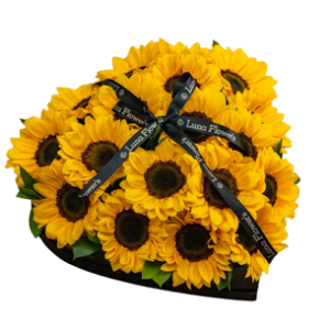 Abril Box 20 Girasoles