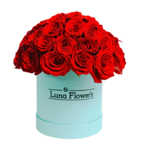 Amelia Box 48 Rosas