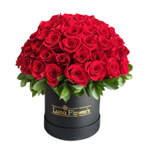 Amelia Box 72 Rosas