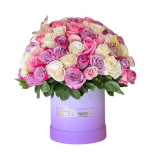 Amelia Box 96 Rosas