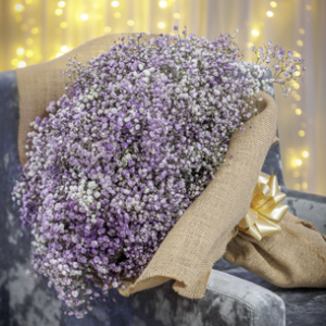Bouquet Gypsophila
