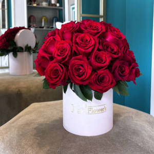 Irene Box 24 Rosas/Tapa