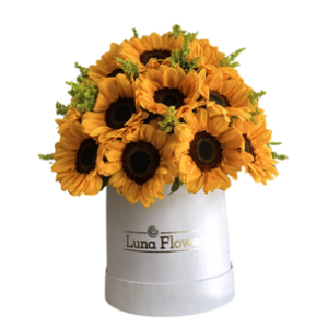 Irene Box 15 Girasoles
