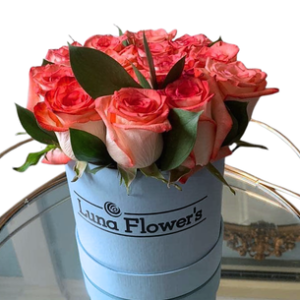 Irene Box 16 Rosas