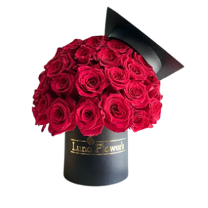 Irene Box 48 Rosas