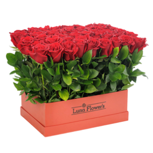 Paulette Box 48 Rosas + Mix