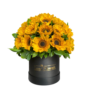 Charlotte Box 35 Girasoles