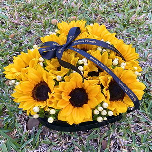 Sunny Box 10 Girasoles